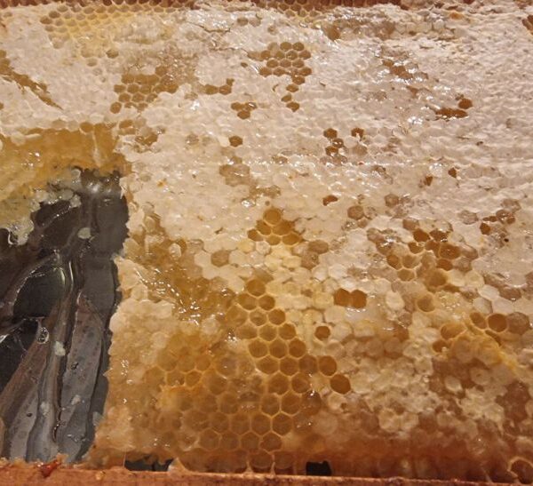 Який мед найнепотрібніший для схуднення: він у вас на кухні