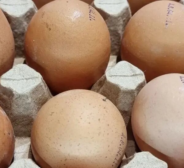 З чим не можна їсти яйця: помилка, що веде до здуття