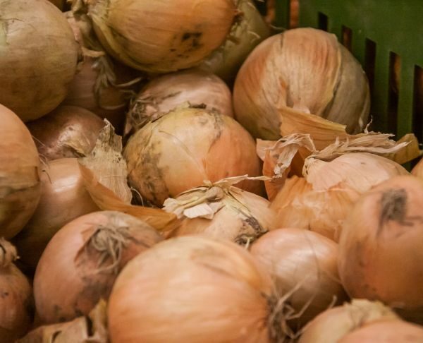 Скільки сирої цибулі можна з'їсти без шкоди: попередження гастроентеролога