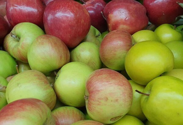 Навіщо їсти шкірку фруктів: яблуко чистити чи ні — відповідь