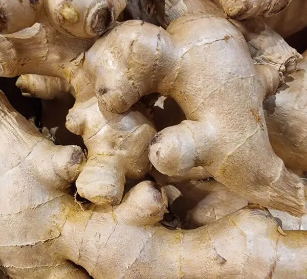 В якому вигляді імбир небезпечний для шлунка: популярний спосіб шкодить