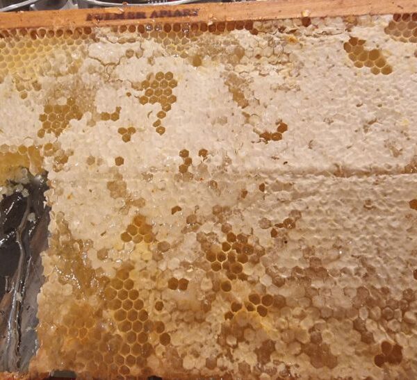 Що корисніше: мед чи цукор – порівняння ударної дози глюкози