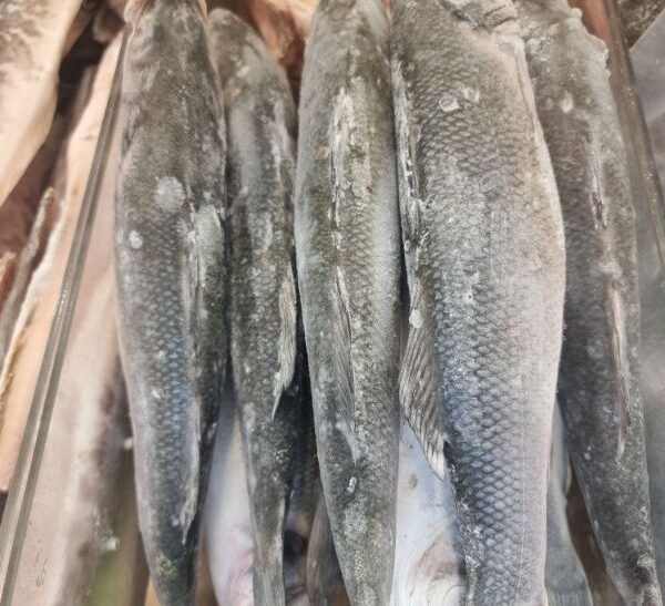 Що краще їсти: свіжа чи заморожена риба