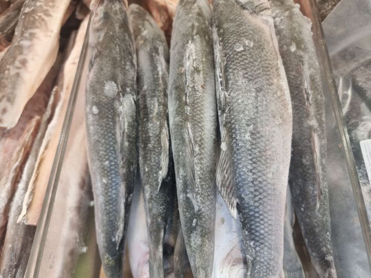 Що краще їсти: свіжа чи заморожена риба