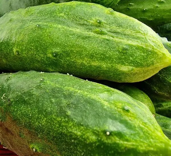 Що не можна їсти після огірків: несподівана реакція організму