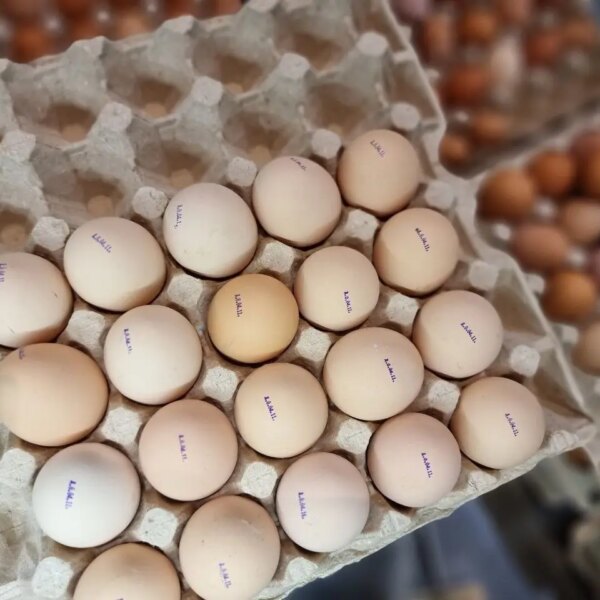 Навіщо їсти яйця окремо від хліба, якщо хочете чисту шкіру: акне піде