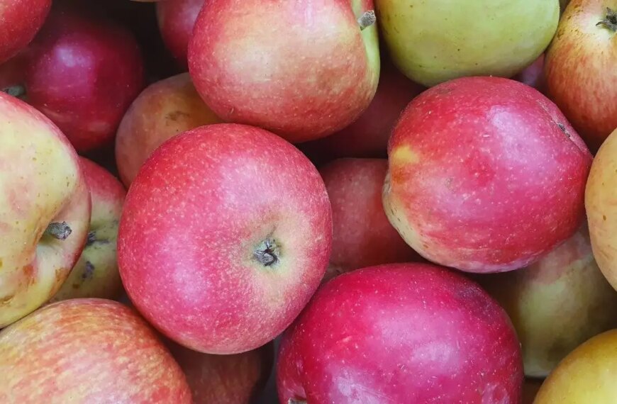 Чому не можна гризти яблука, на ніч дивлячись: кислота краде пружність овалу&hellip;