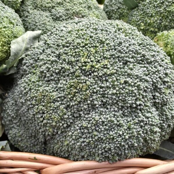 Як правильно поєднувати брокколі та помідори, щоб засвоїти все: правило 15 хвилин