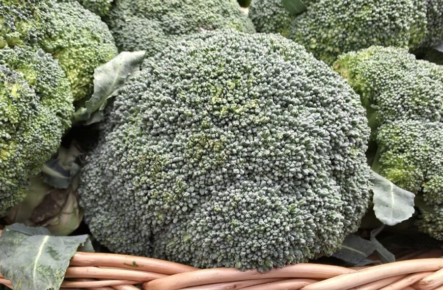 Як правильно поєднувати брокколі та помідори, щоб засвоїти все: правило 15 хвилин