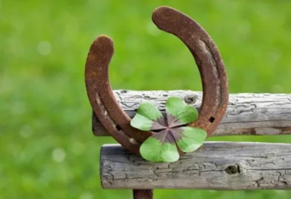 Хороші прикмети: що віщує щастя, удачу та процвітання