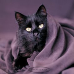 Вірити чи ні в прикмети, знаки та забобони?