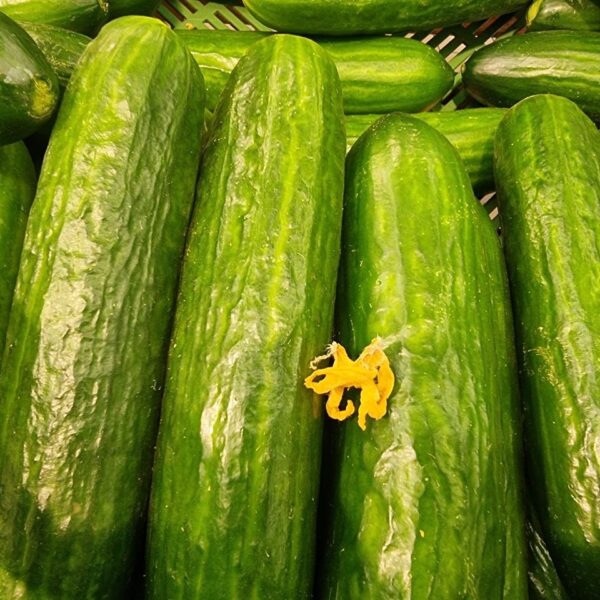 Чому огірок із молоком викликає діарею: міф чи реальна загроза