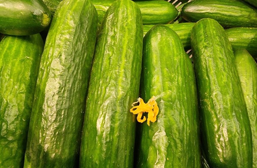 Чому огірок із молоком викликає діарею: міф чи реальна загроза