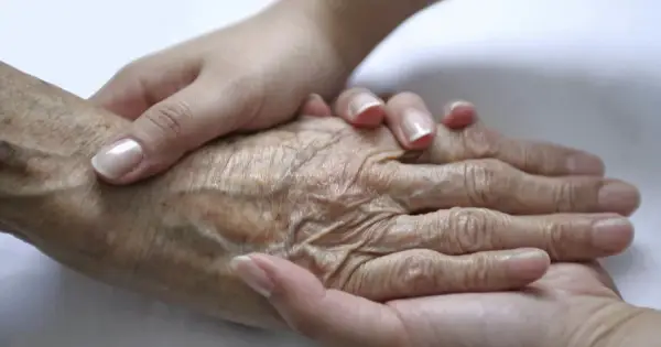 Шість звичок, що зберігають силу та пам’ять після 65 років