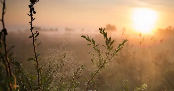 15 серпня: кого вітати з Днем ангела