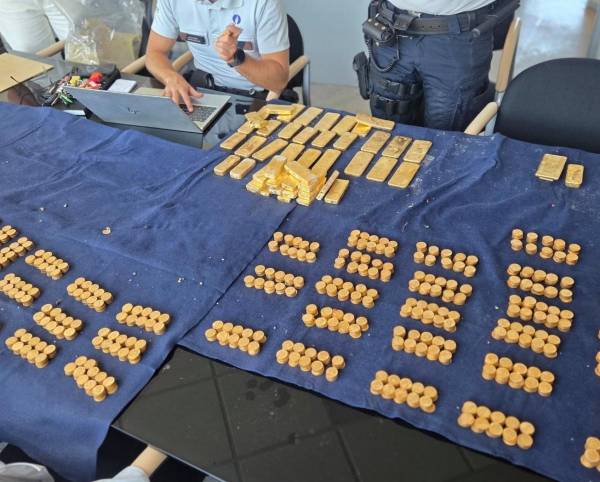 Студент виявив золотий скарб у підвалі: чи отримає він винагороду