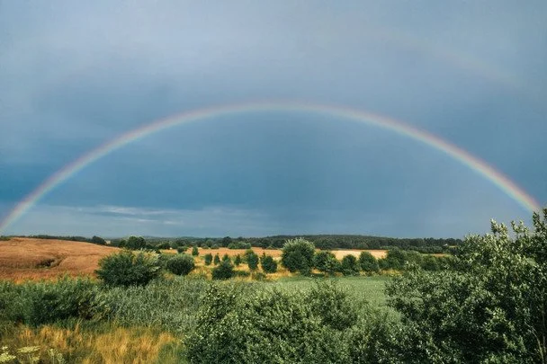 Народні прикмети 27 серпня / © pexels.com
