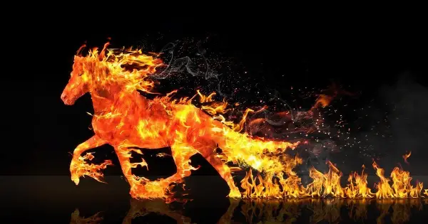 Змія принесе удачу: прогноз для всіх знаків зодіаку на 2026 рік
