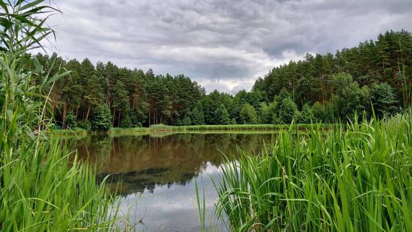 Вода водойм: небезпека для здоров’я, яку ігнорують українці