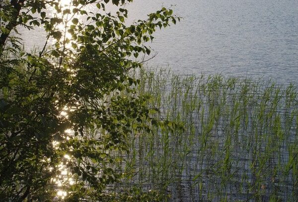 Свято Успіння Пресвятої Богородиці: що відзначаємо 25 серпня