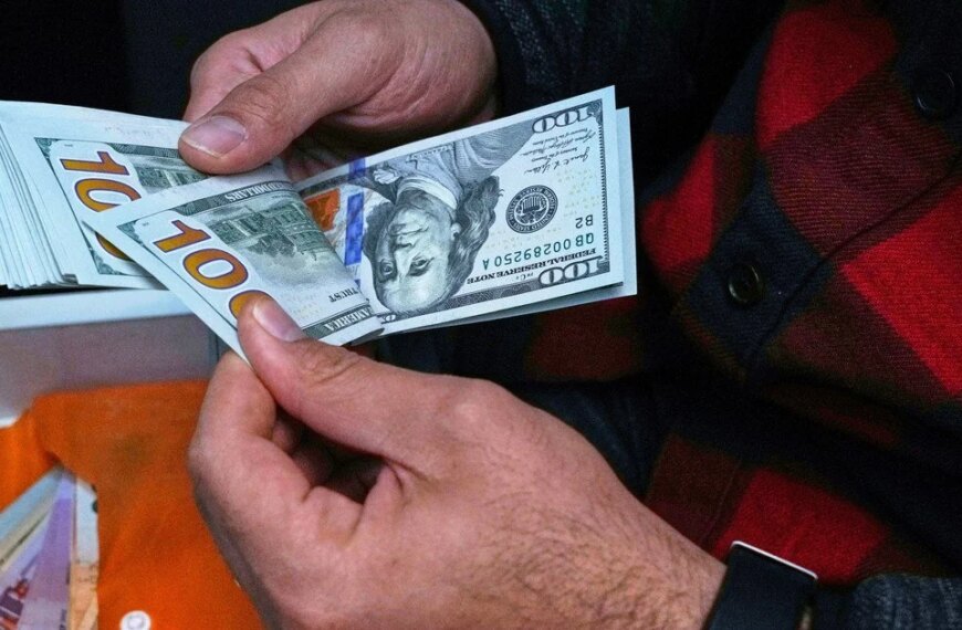 Курси долара, євро та злотого на 26 серпня: скільки коштують головні валюти