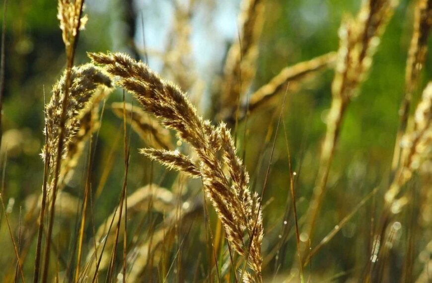 Іменини 30 серпня: кого вітати та як привітати