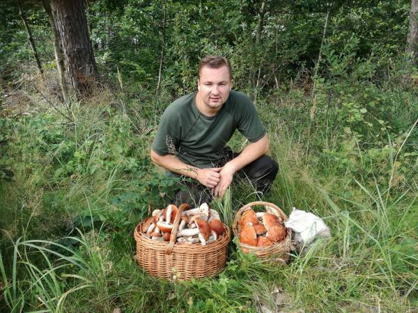 Три ознаки грибного місця, які знають досвідчені грибники