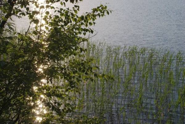 Церковне свято 25 серпня: Вознесіння Господнє