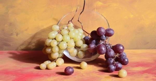 Чи справді виноградні кісточки корисні для здоров’я