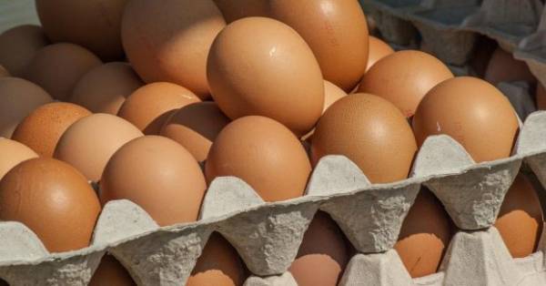 Червоний прапорець на яйцях: як уникнути неякісного продукту