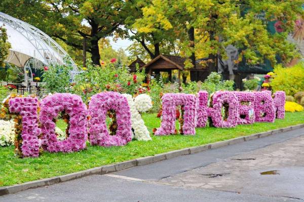 Харківський екопарк залишається у місті: офіційна заява