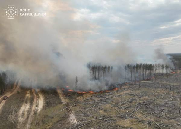 Харківщина бореться з сімома лісовими пожежами