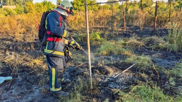 Харківські рятувальники знайшли тіло під час гасіння сухостою