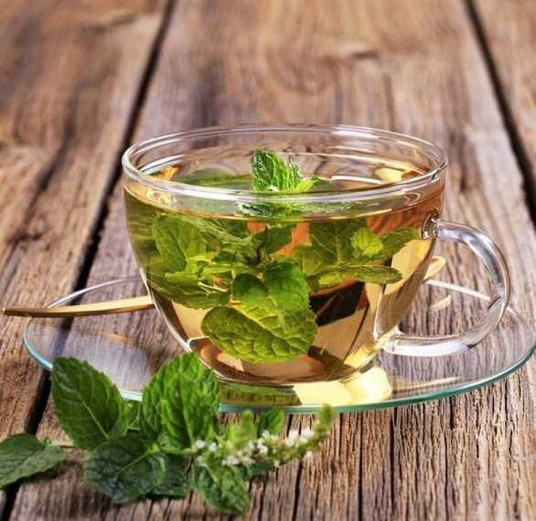Сто болезней, которые лечит обычная мята