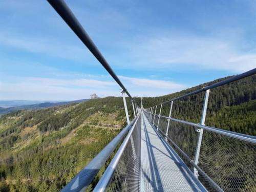 Не смотрите вниз! В Чехии открылся самый длинный в мире подвесной мост (7 фото + видео)