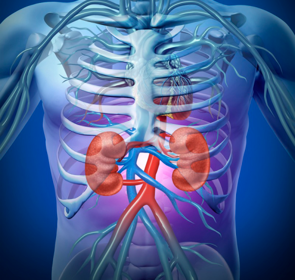 Это упражнение полезно пpи ослаблении функции почeк